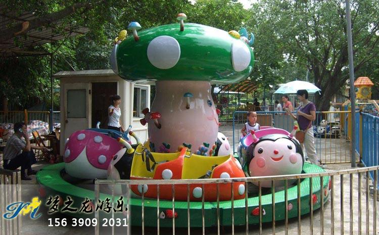 瓢蟲樂(lè)園